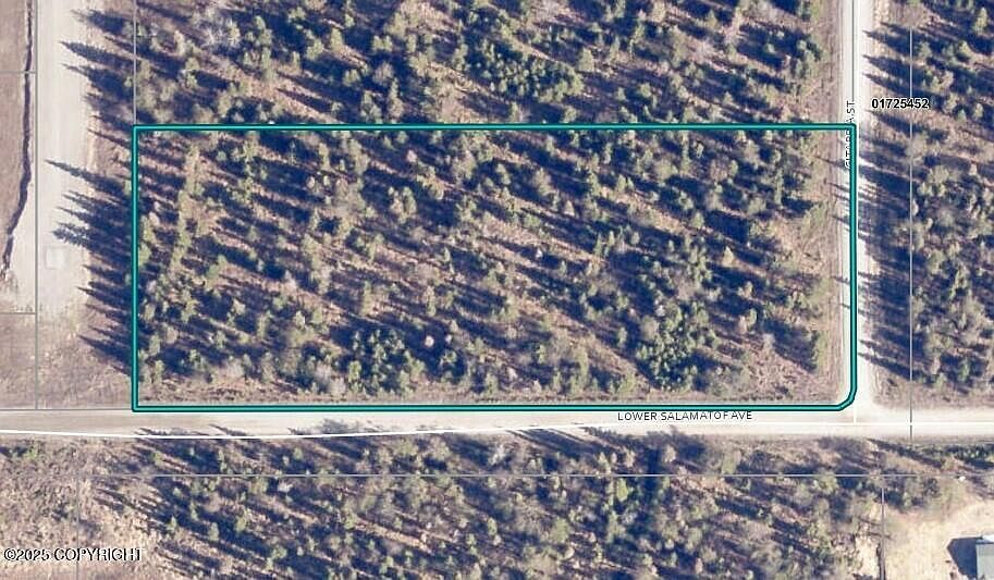 LOT C5A Citabria St Kenai, AK 99611 - Thumbnail 4