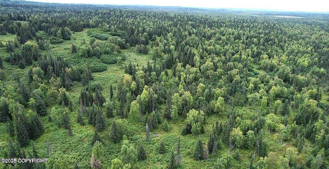 14449 Murry St Ninilchik, AK 99639 - Thumbnail 4