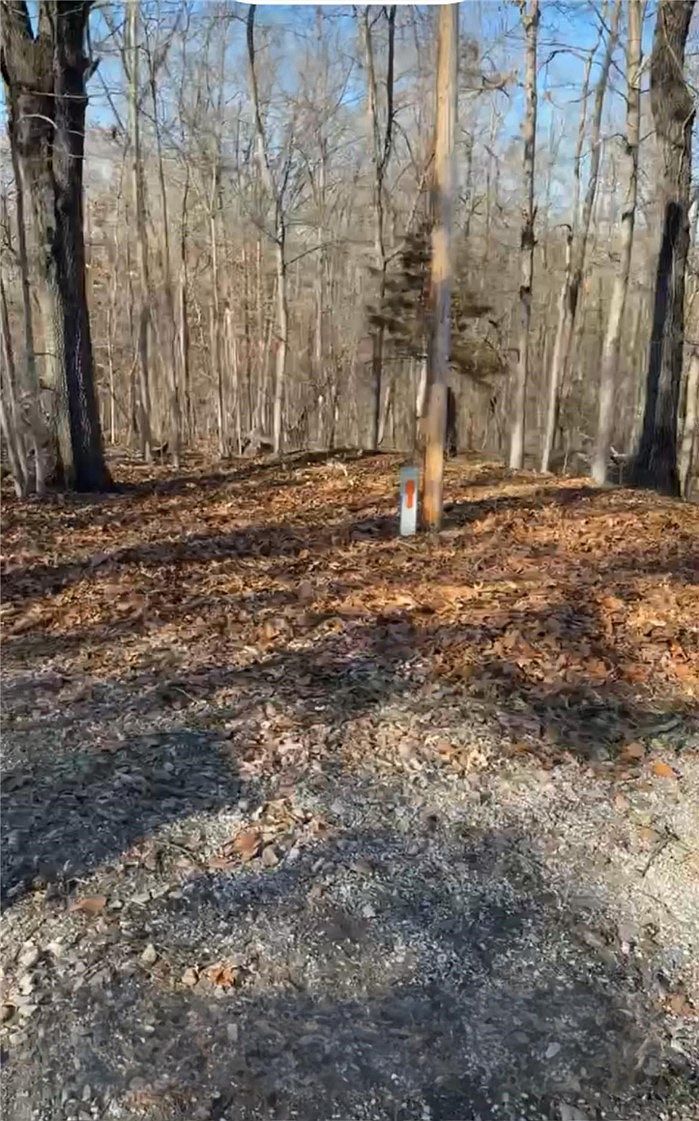 LOT 6/marlin Ln #6 Bella Vista, AR 72715 - Thumbnail 4