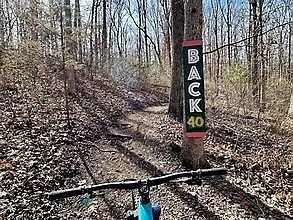 Spilsby Ln #76 Bella Vista, AR 72714 - Thumbnail 4