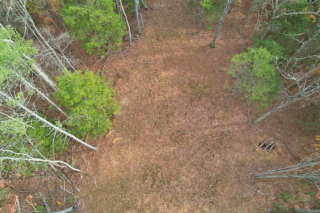 700 Ellison School Rd Camp Creek, WV 25820 - Thumbnail 4