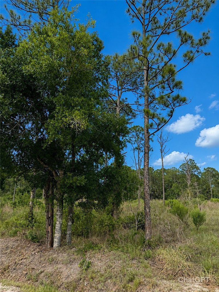 2320 82nd Ave SW Vero Beach, FL 32968 - Thumbnail 4