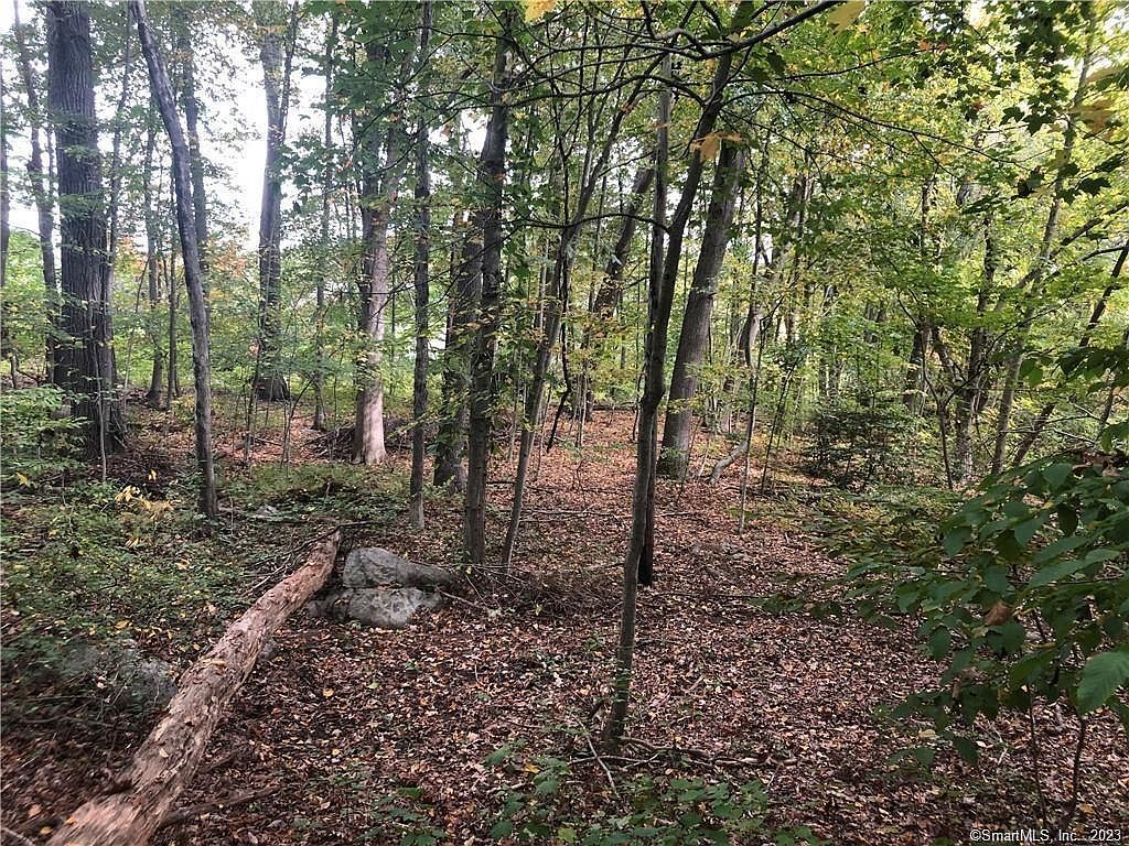 983 Boston Post Rd Madison, CT 06443 - Thumbnail 4