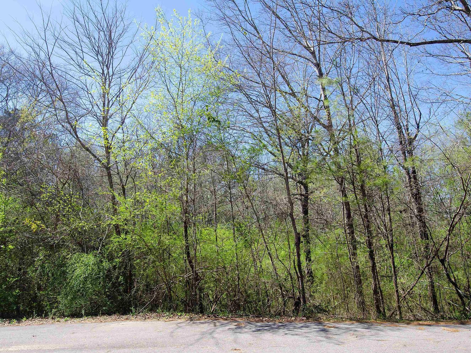 0 Howard Cir #0 Lincoln, AL 35096 | Land/Lot