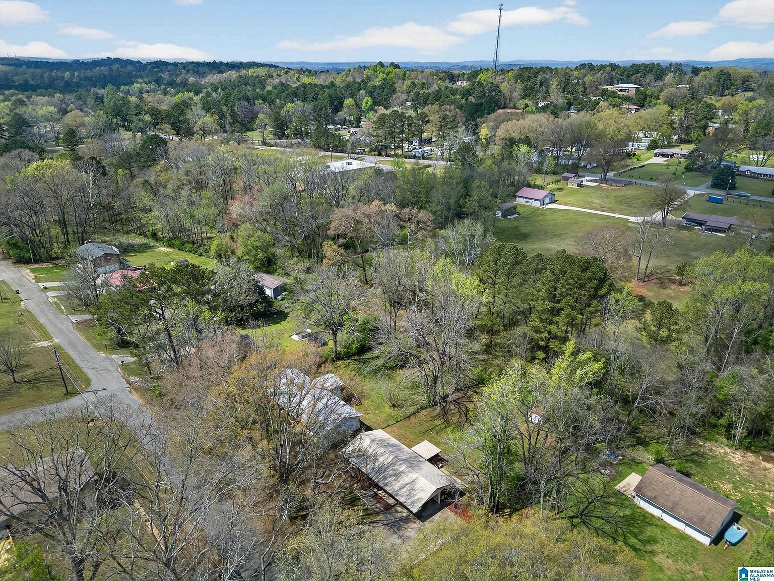 1423 Montevallo Rd Weaver, AL 36277 - Thumbnail 4