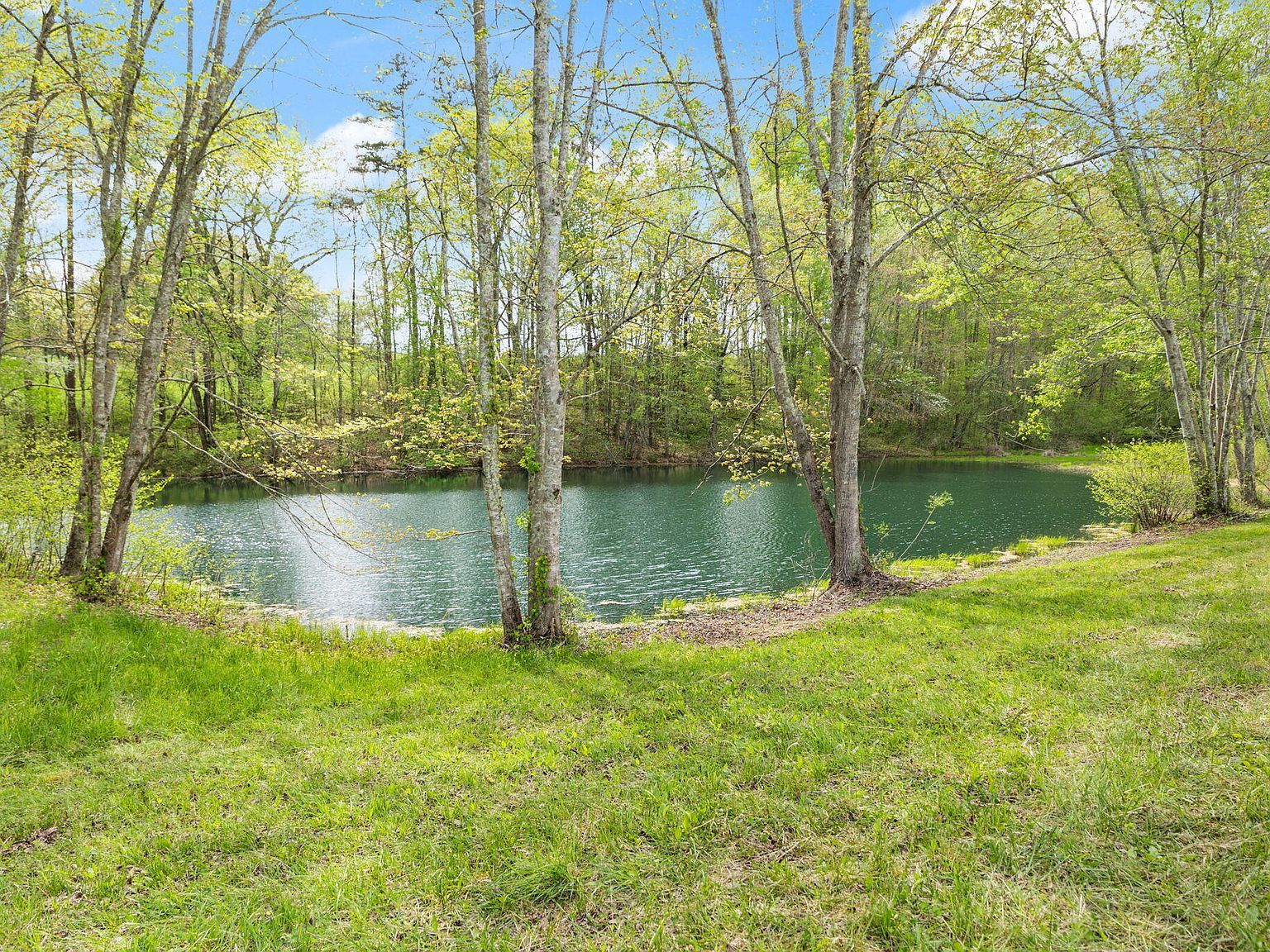 2190 Lily Rd London, KY 40744 - Thumbnail 4