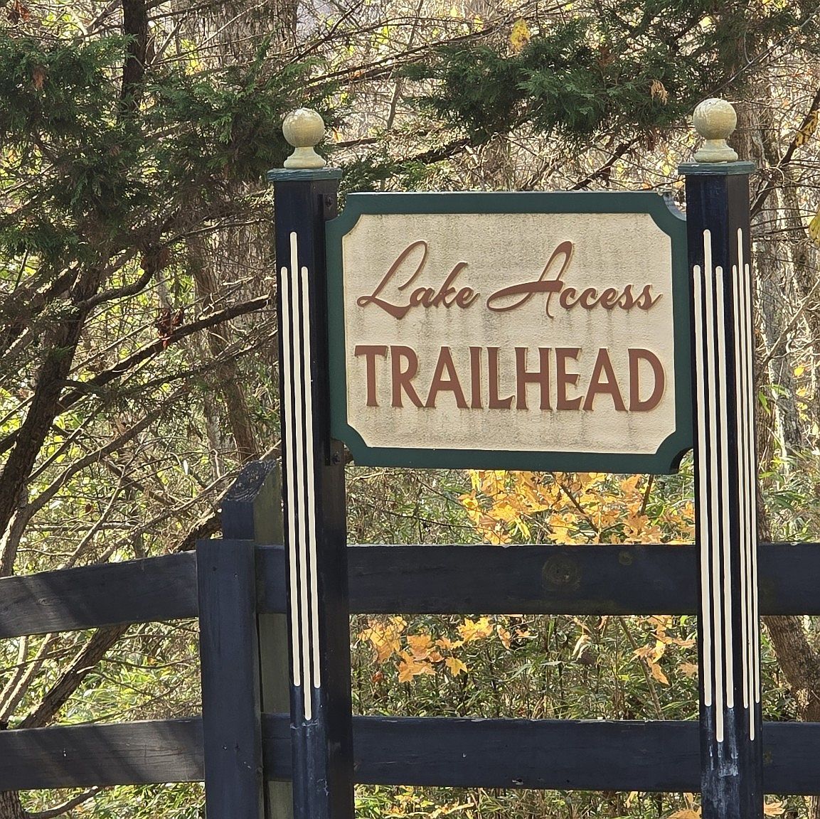 2 Shoreside Dr Lot 2 Smithville, TN 37166 - Thumbnail 4