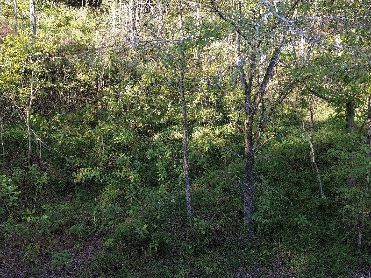 104 Blackberry Ridge Way #104 Smithville, TN 37166 - Thumbnail 4