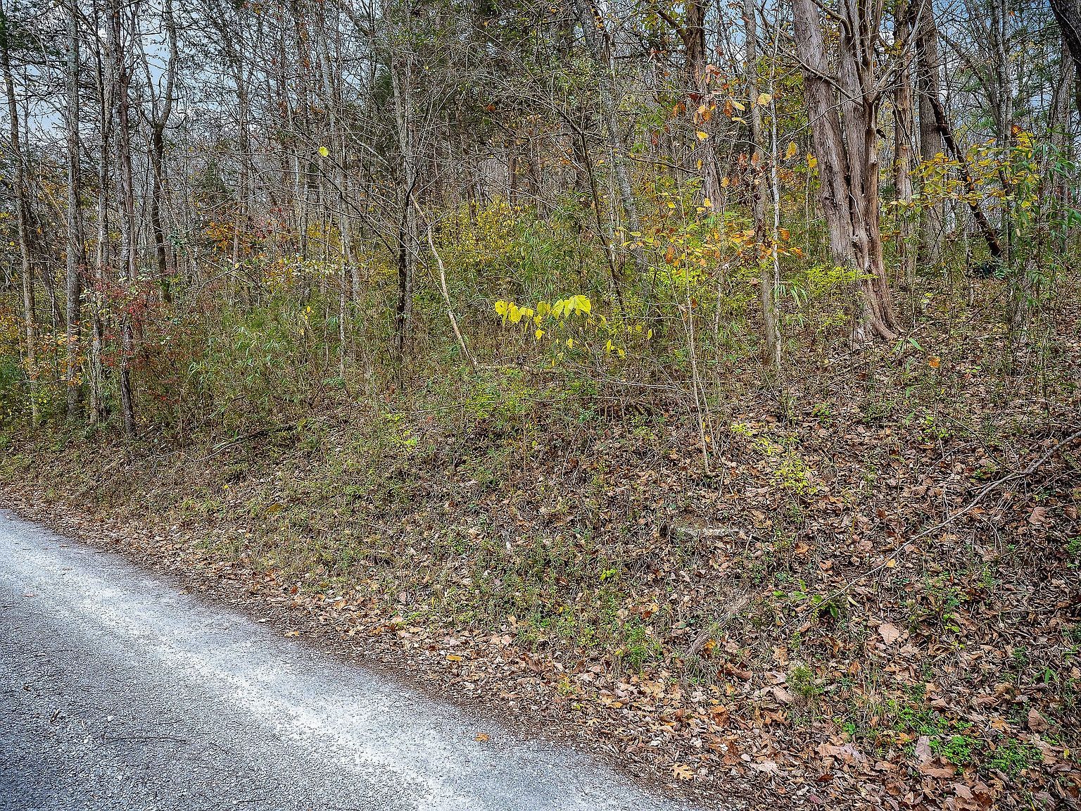 9 Shady Pl Smithville, TN 37166 - Thumbnail 4