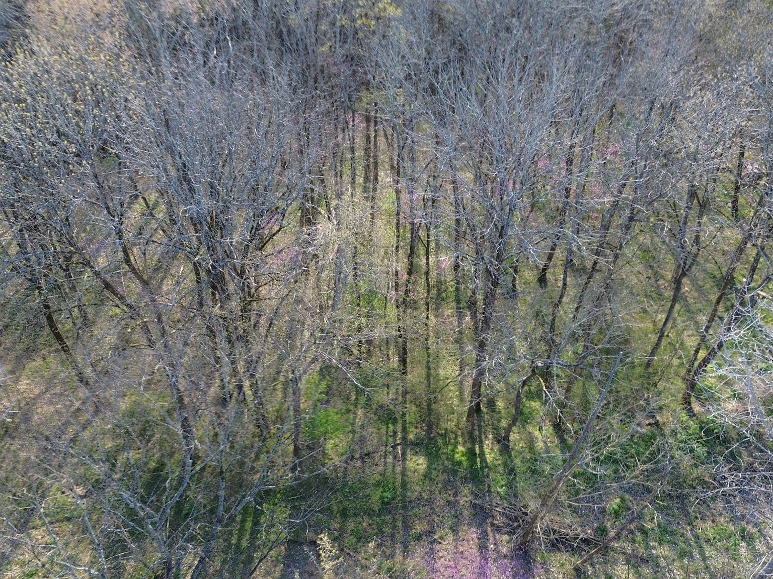 0 Wilson Cir Lot 105 Smithville, TN 37166 - Thumbnail 4