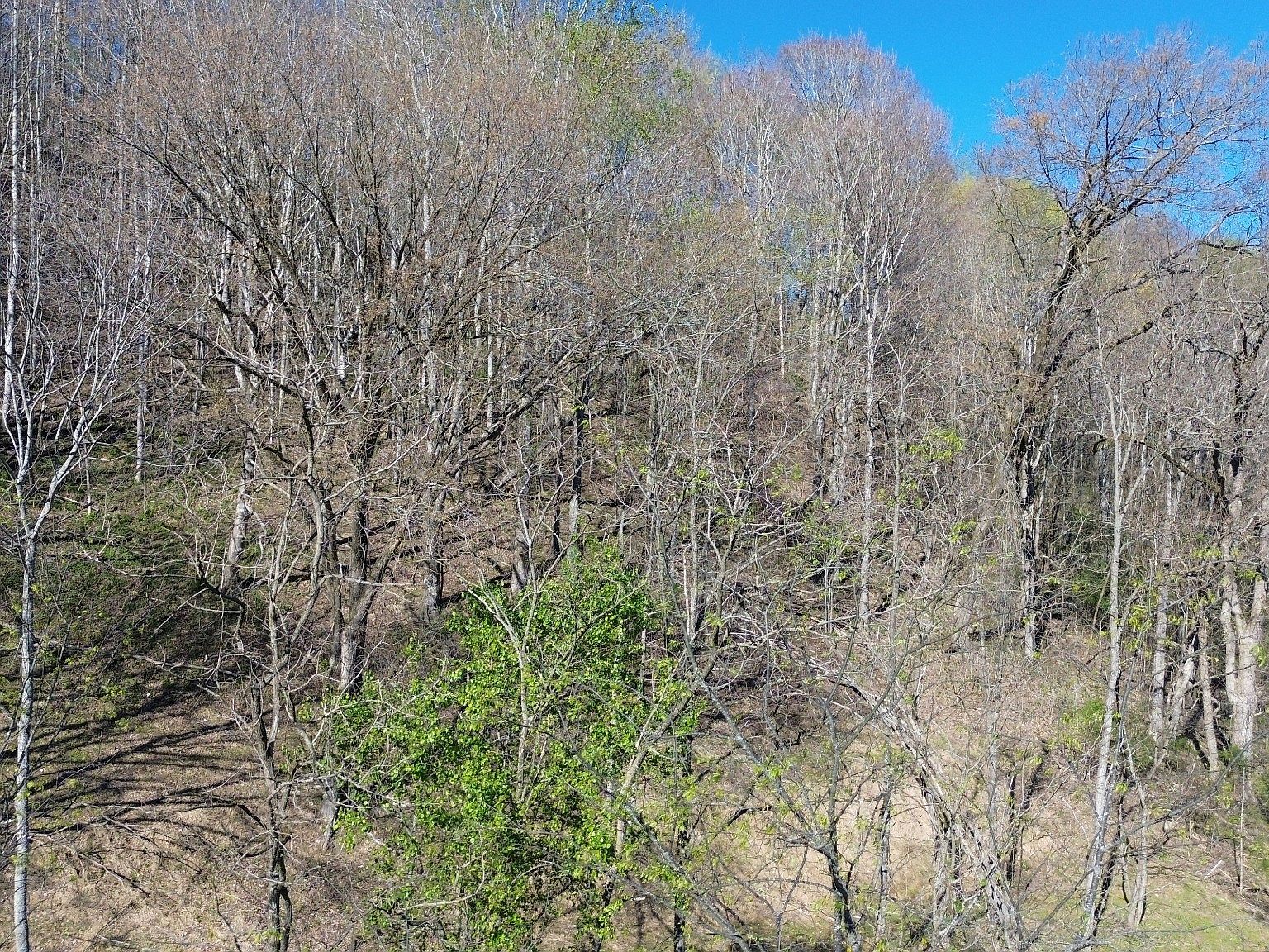 0 Blackberry Ridge Way Lot 104 Smithville, TN 37166 - Thumbnail 4