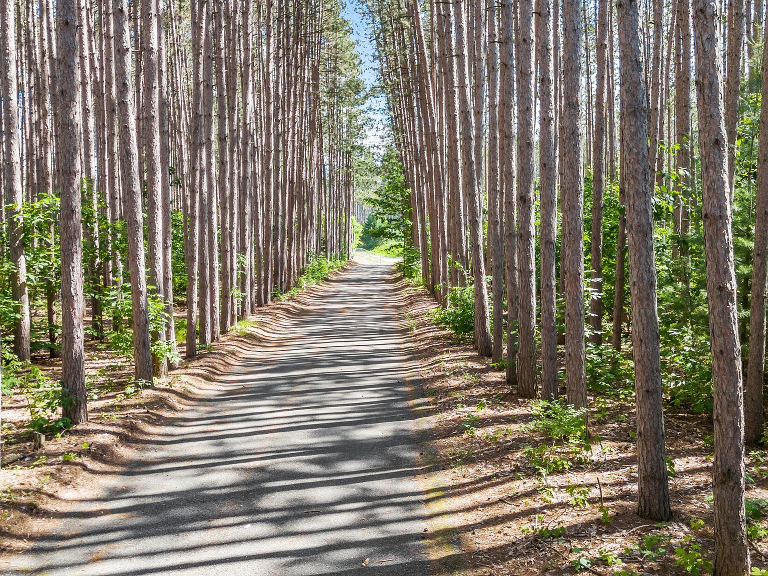 3914 135th Ave Hersey, MI 49639 - Thumbnail 4