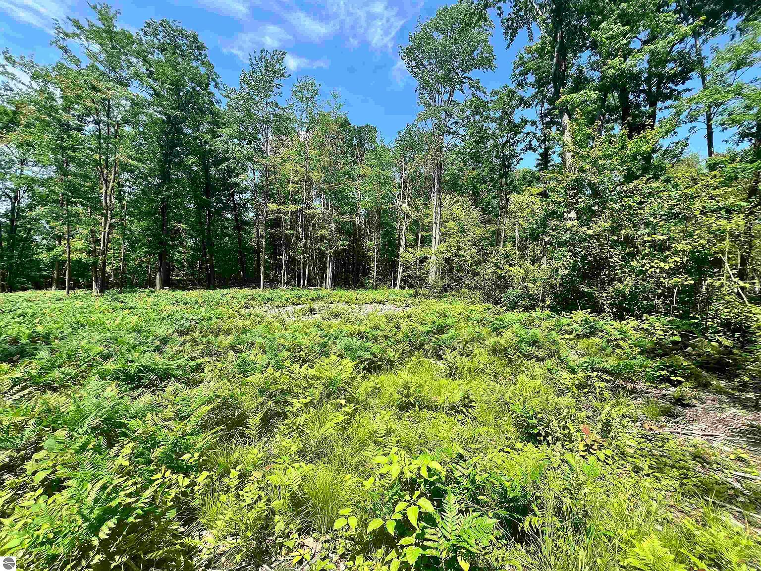 8653 Lakeside Trl Harrison, MI 48625 - Thumbnail 4