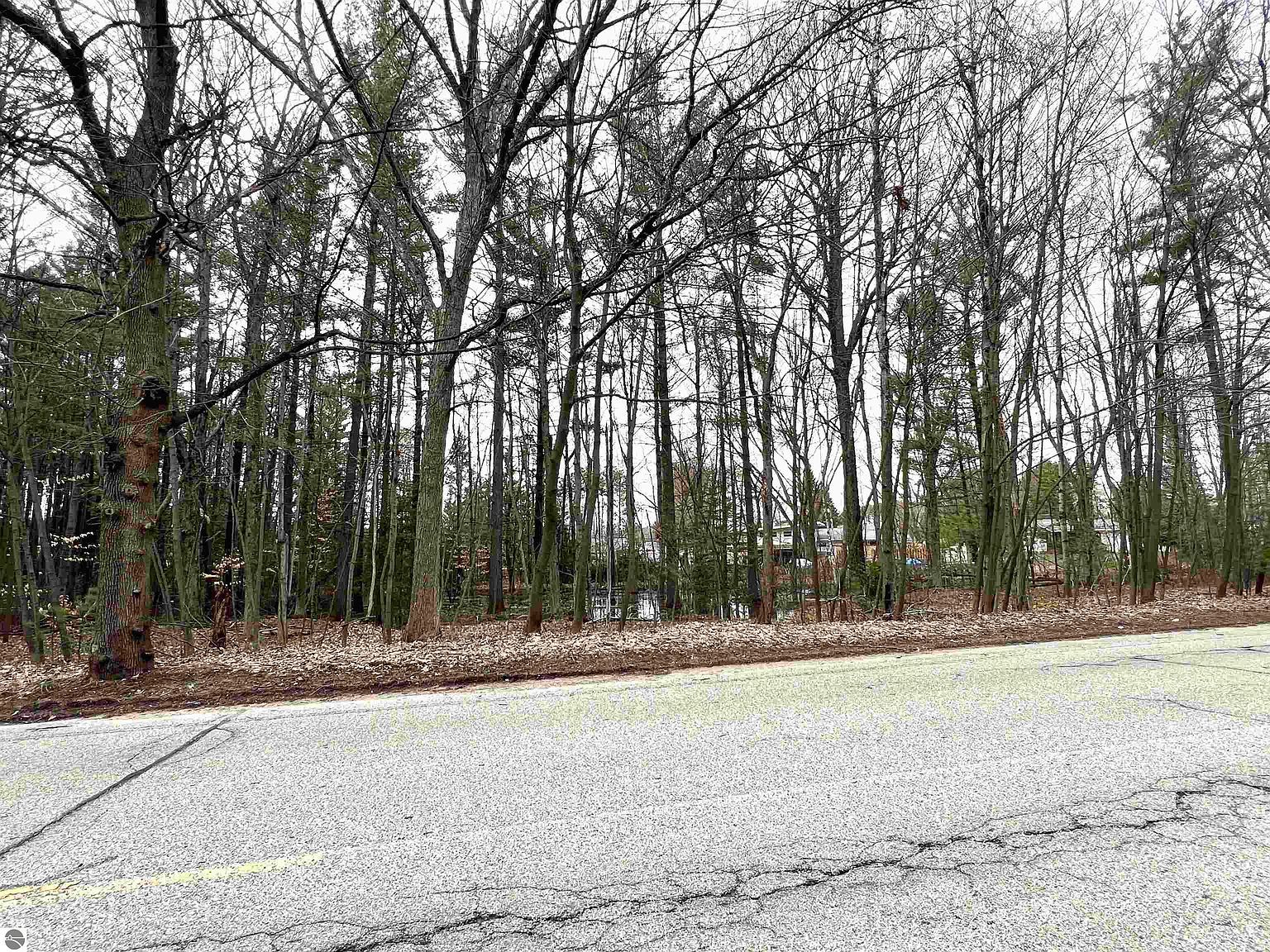 0 Kenwood Rd Cadillac, MI 49601 - Thumbnail 4