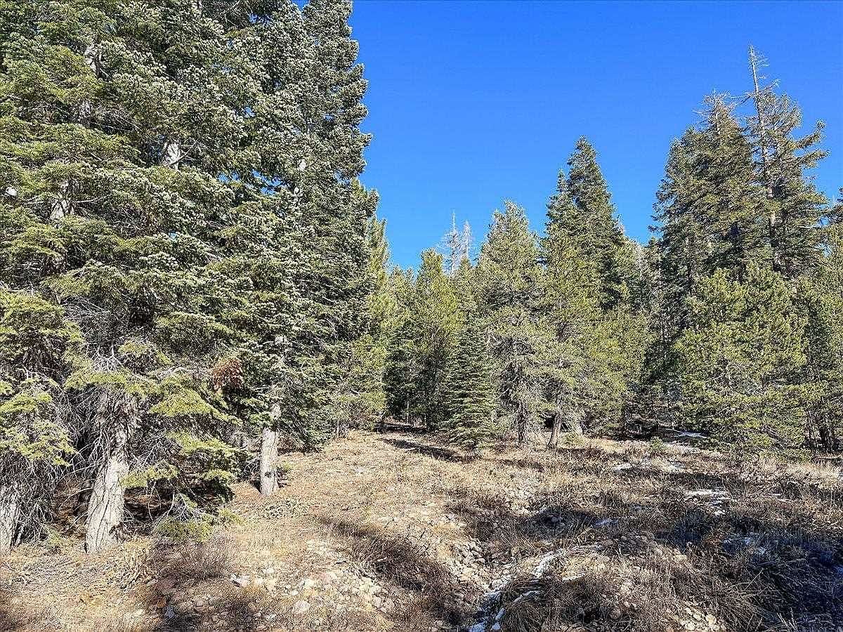 5N01 Eagle Meadow Rd Strawberry, CA 95375 - Thumbnail 4