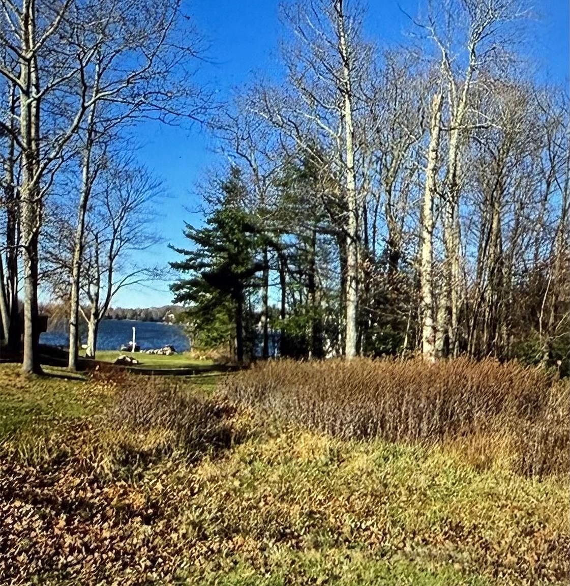 Lake Shore Dr E Rock Hill, NY 12775 - Thumbnail 4