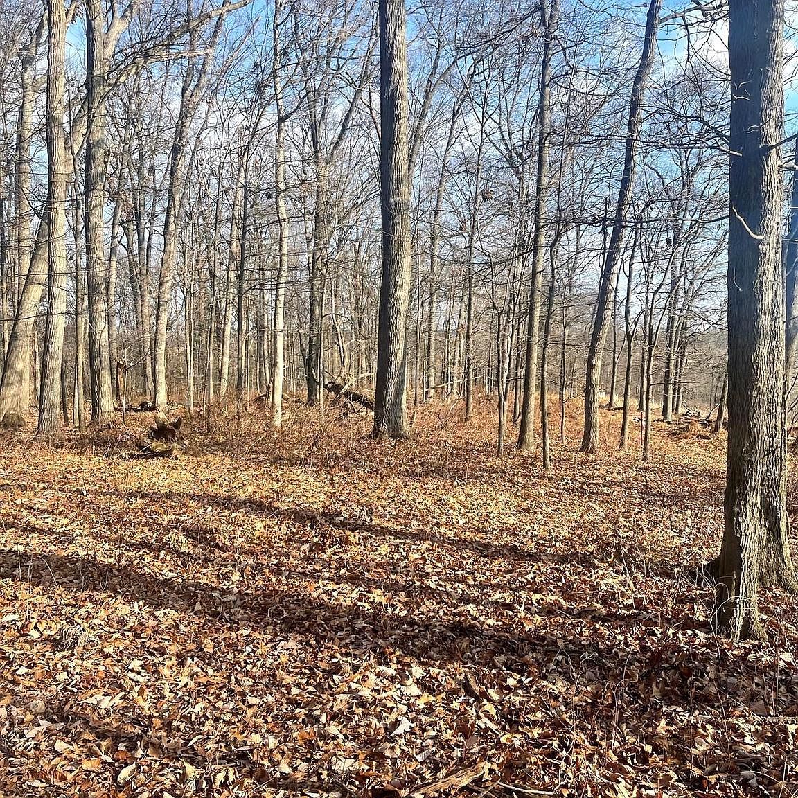 2650-2652 Baumgardner Rd Westminster, MD 21158 - Thumbnail 4