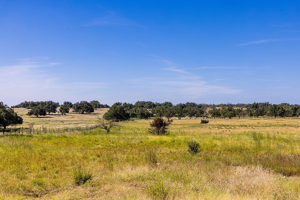 101 Nantan Ln Harper, TX 78631 - Thumbnail 4