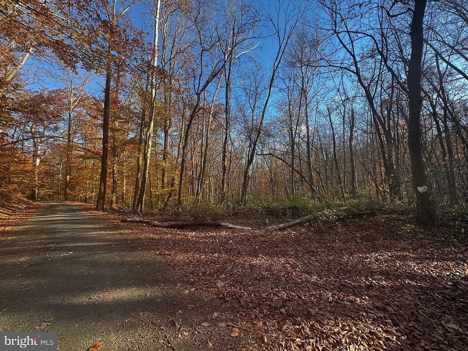 749 Gilbert Rd Aberdeen, MD 21001 - Thumbnail 4