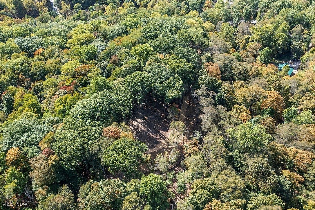 10899 Tibbetts Rd Willoughby, OH 44094 - Thumbnail 4