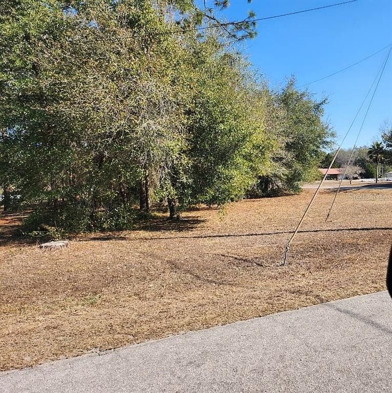 SE 97th Ter Lot 2 Summerfield, FL 34491 - Thumbnail 4
