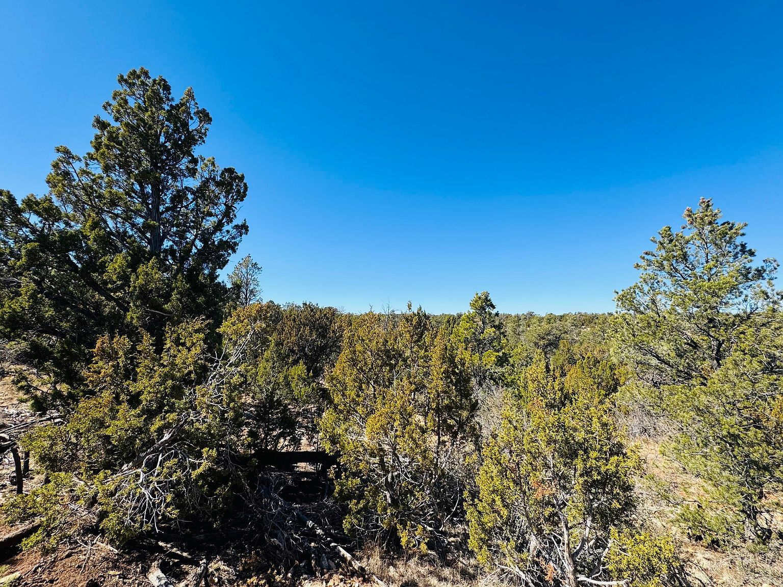 4108 Sunset Ridge Loop Happy Jack, AZ 86024 - Thumbnail 4