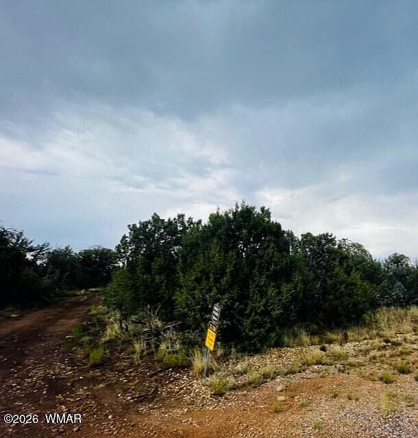 8418 Haven Crest Dr Happy Jack, AZ 86024 - Thumbnail 4