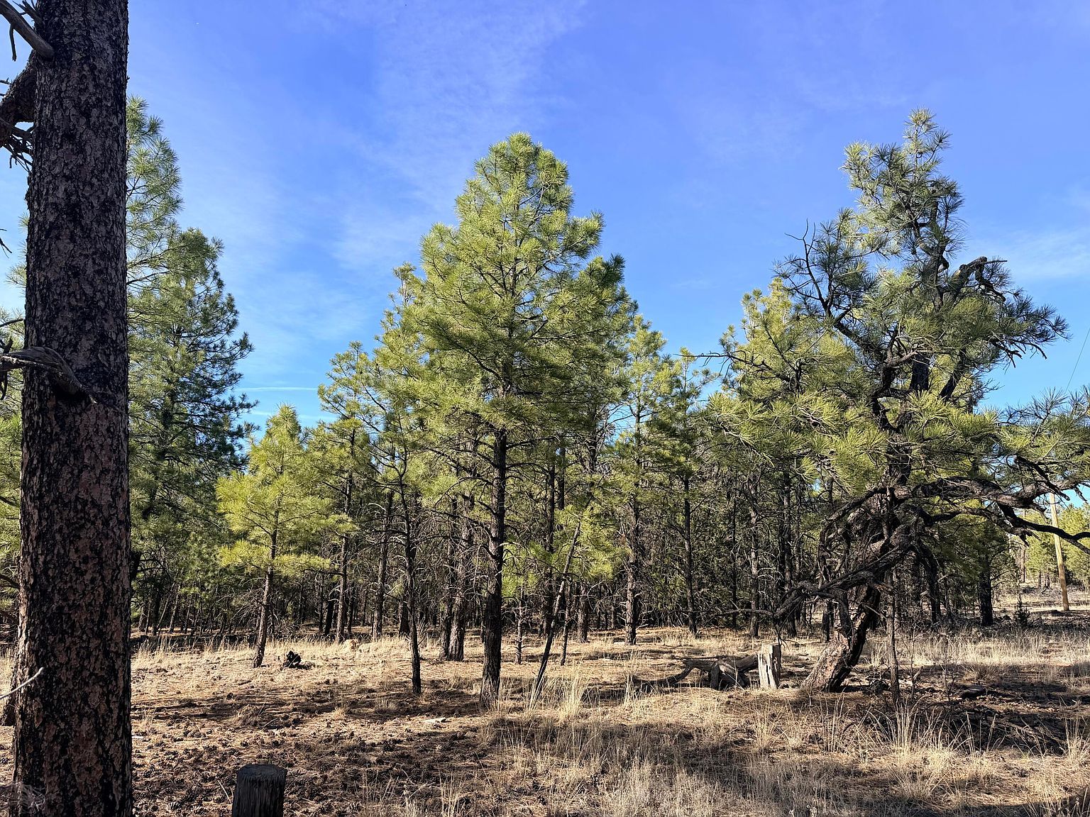 2397 Wigeon Way Happy Jack, AZ 86024 - Thumbnail 4
