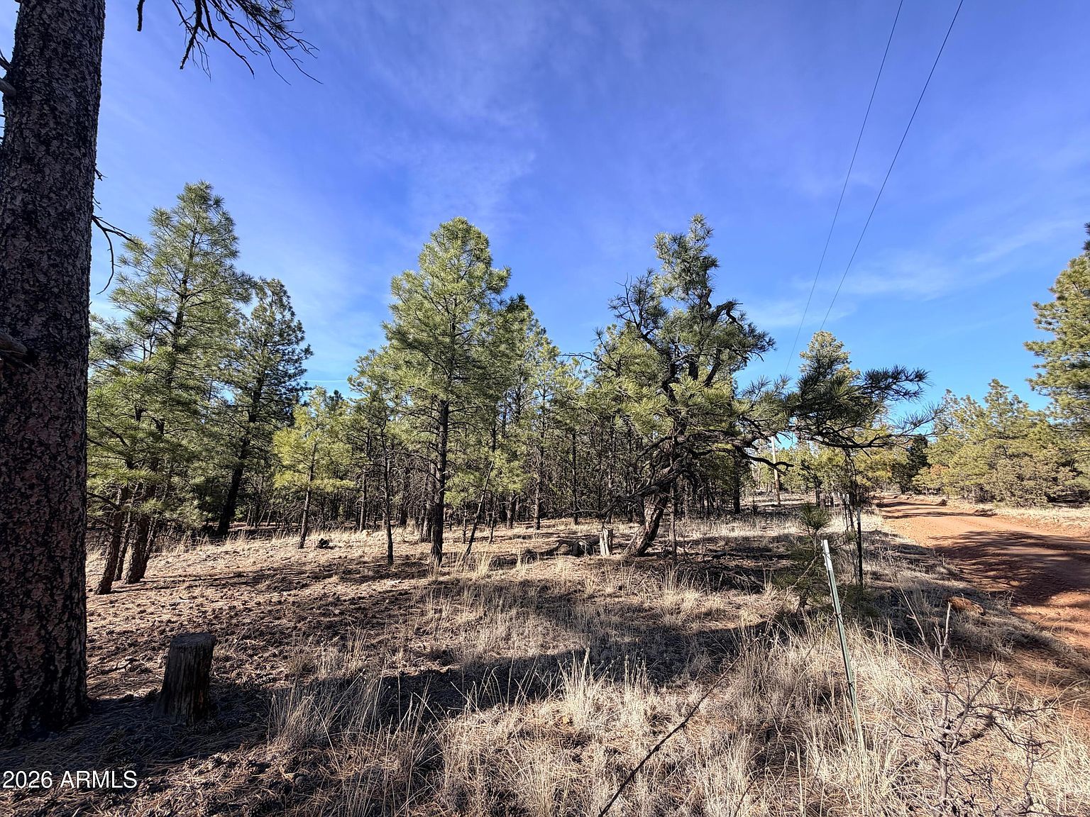 2397 Wigeon Way #6 Happy Jack, AZ 86024 - Thumbnail 4