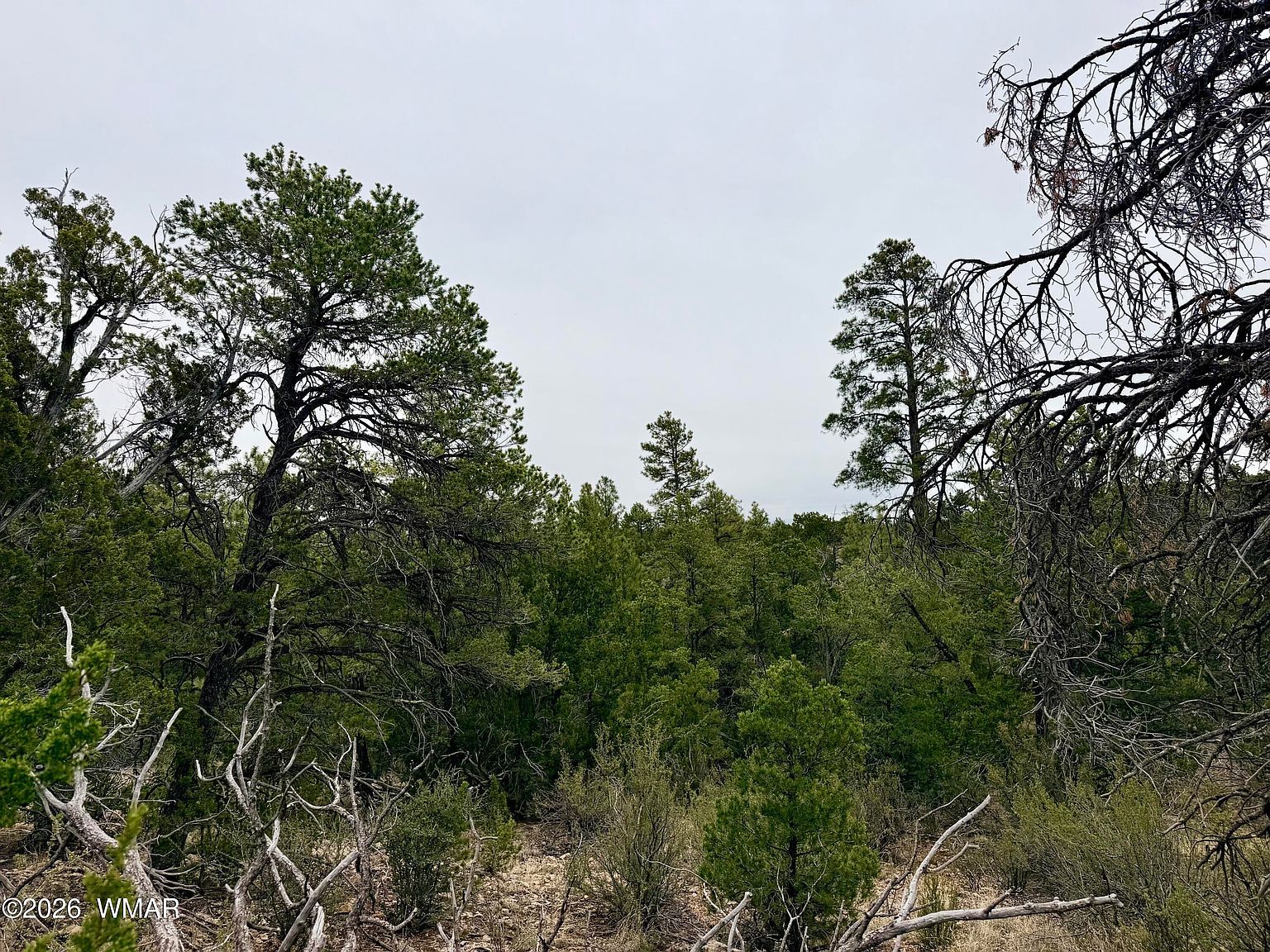 4918 Sunset Ridge Loop Happy Jack, AZ 86024 - Thumbnail 4