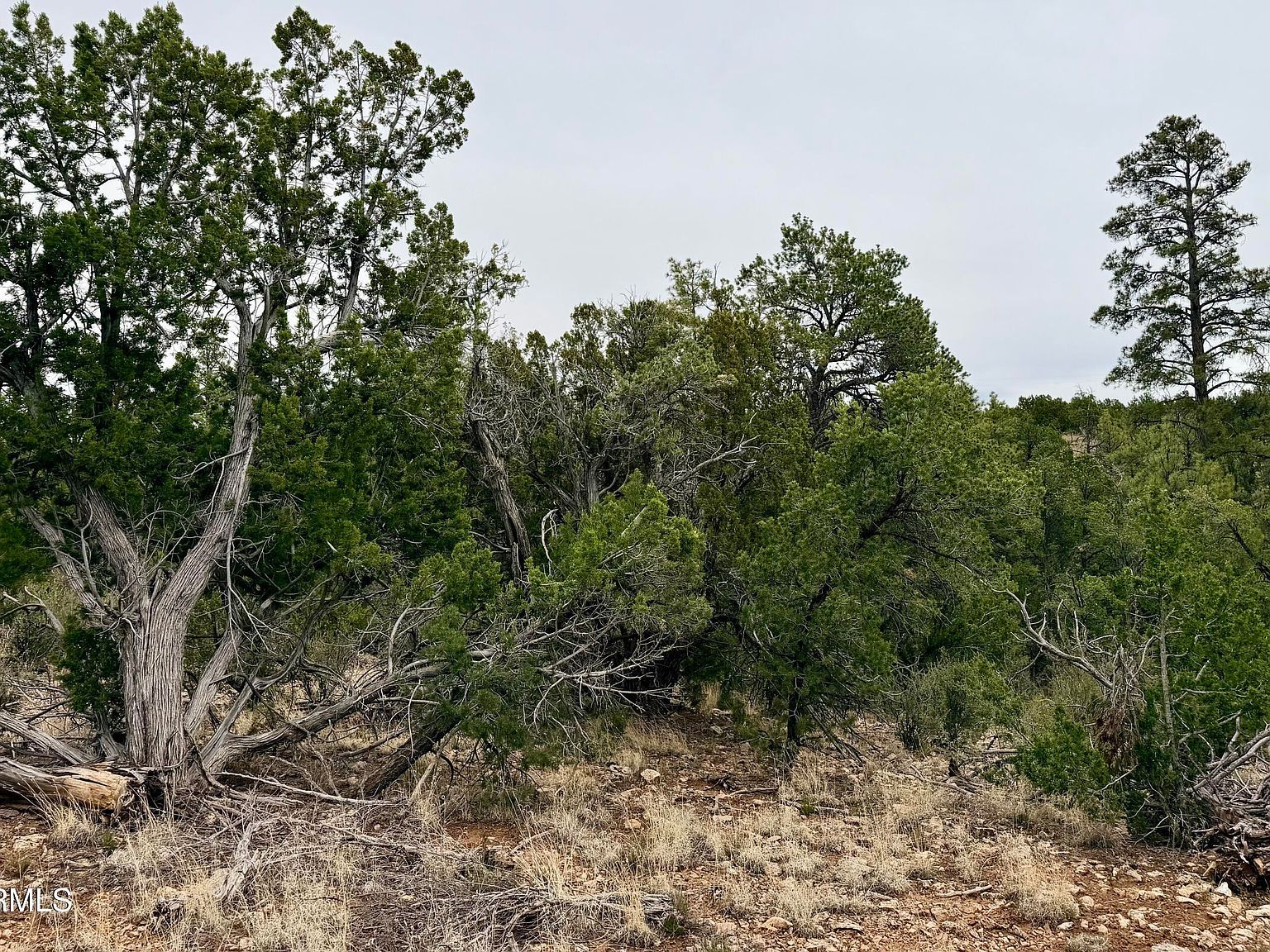 4918 Sunset Ridge Loop Lot 199 Happy Jack, AZ 86024 - Thumbnail 4