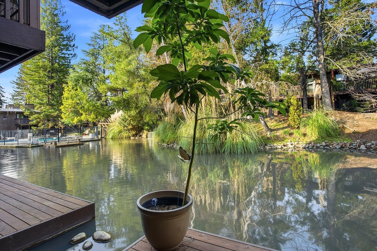 2482 Larkspur Ln APT 181 Sacramento, CA 95825 - Thumbnail 4