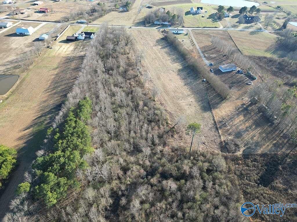 County Road 1597 Baileyton, AL 35019 - Thumbnail 4