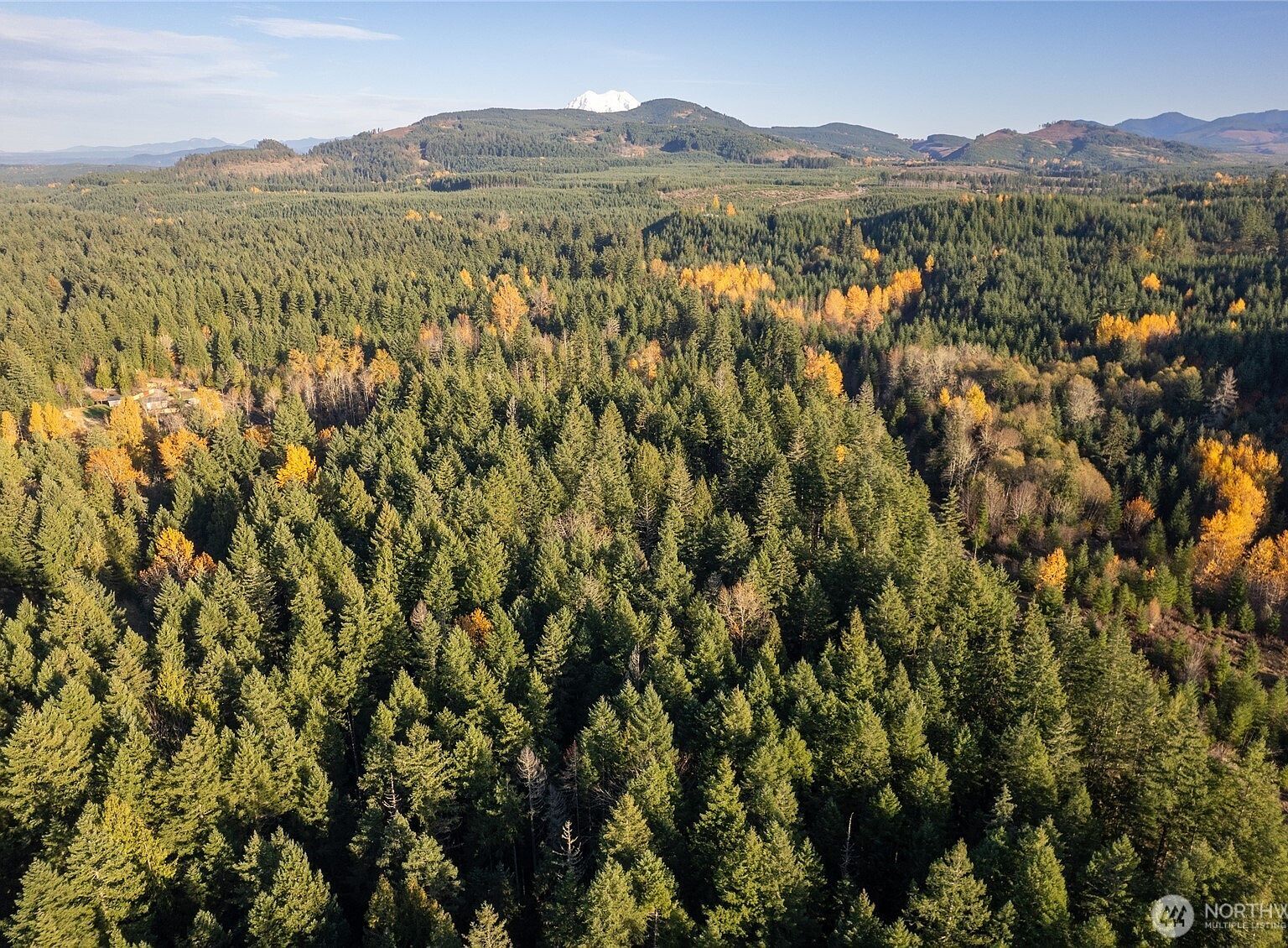 0 Bald Hills Rd SE Yelm, WA 98597 - Thumbnail 4