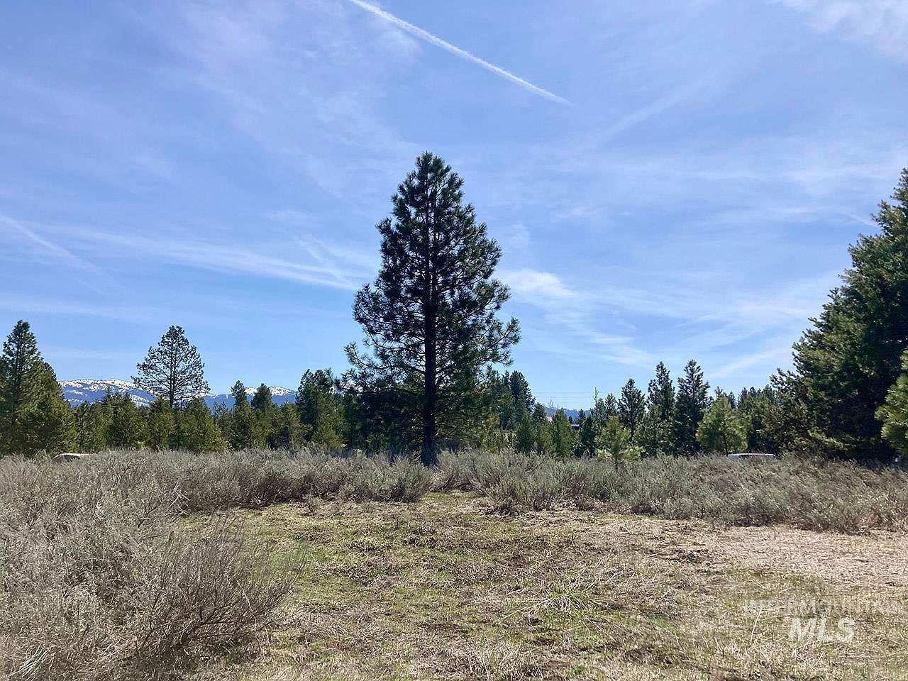 269 Moon Dr McCall, ID 83638 - Thumbnail 4