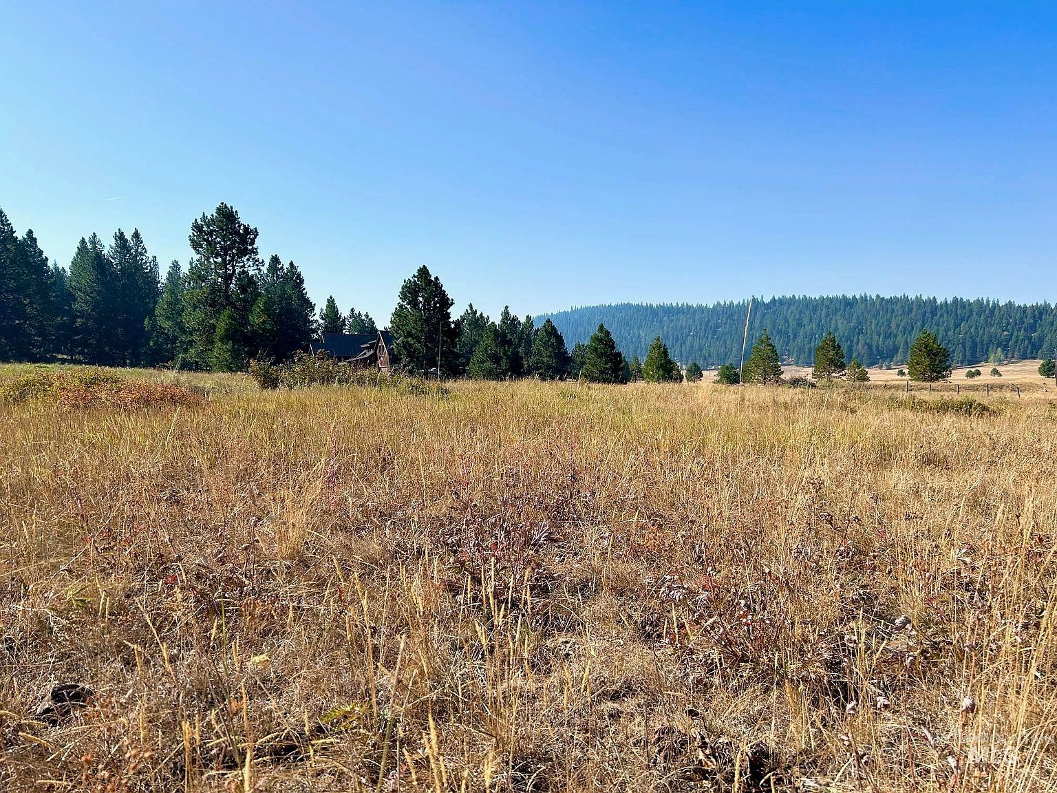 LOT 17 Whitefield Ln McCall, ID 83638 - Thumbnail 4