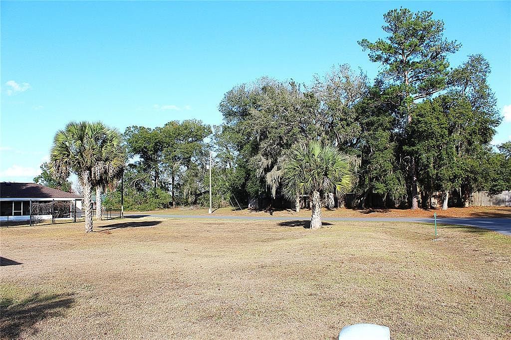 NE 6th Pl Lot 12 Silver Springs, FL 34488 - Thumbnail 4