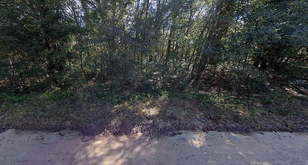 Lloyd Dr #36 Interlachen, FL 32148 - Thumbnail 4