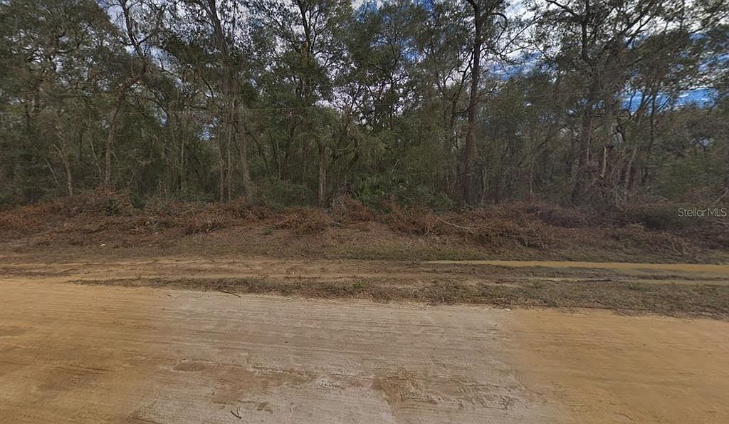 0 Walker Dr #20 Interlachen, FL 32148 - Thumbnail 4