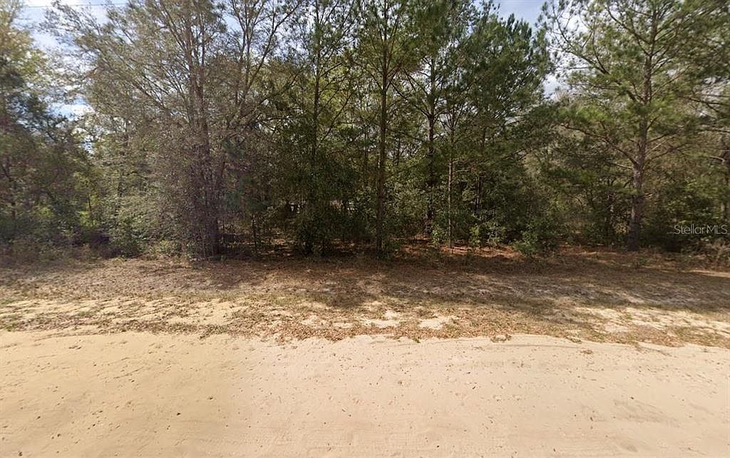 Lenore Avenue Lot #21 Interlachen, FL 32148 - Thumbnail 4