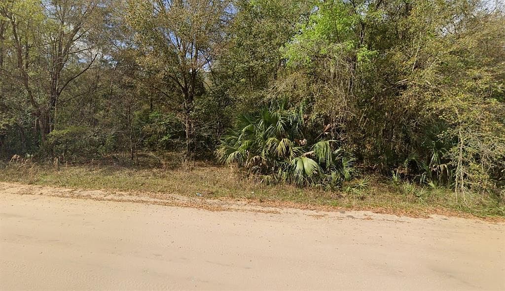 Annette Avenue Lot #35 Interlachen, FL 32148 - Thumbnail 4