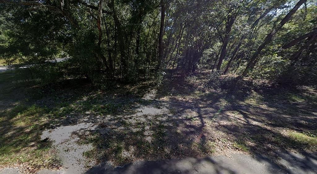 0 Annette Ave #1 Interlachen, FL 32148 - Thumbnail 4