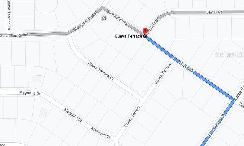 Guava Ter #1 Ocklawaha, FL 32179 | Land/Lot