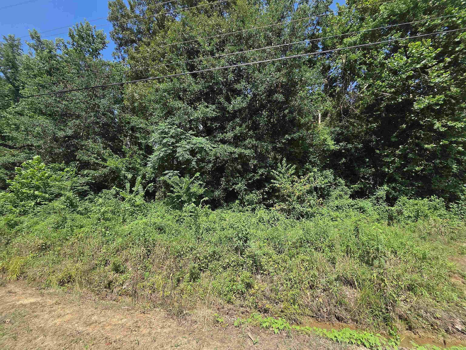 900 County Road 1651 Knoxville, AR 72845 - Thumbnail 4