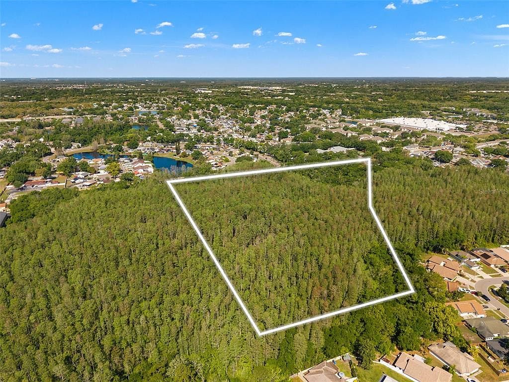 12591 Henderson Rd Tampa, FL 33625 - Thumbnail 4