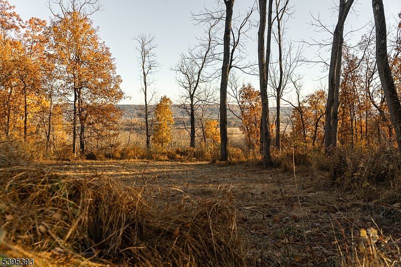 0 Asbury Broadway Rd Asbury, NJ 08802 - Thumbnail 4