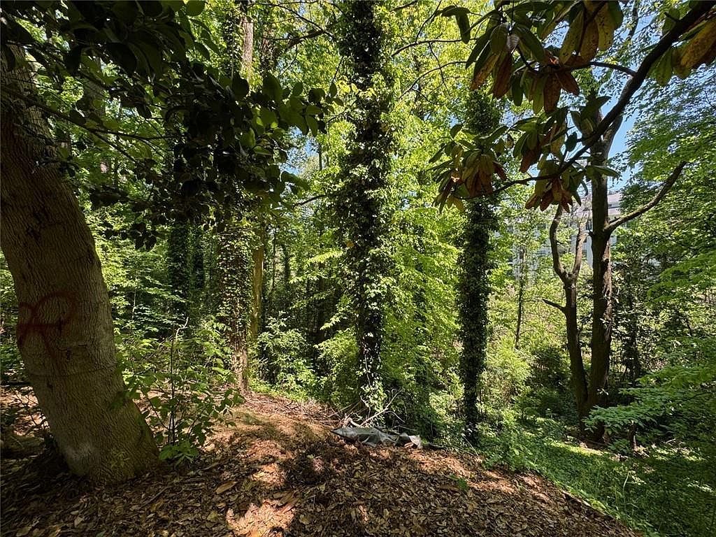 1285 Cumberland Rd NE #2 Atlanta, GA 30306 - Thumbnail 4