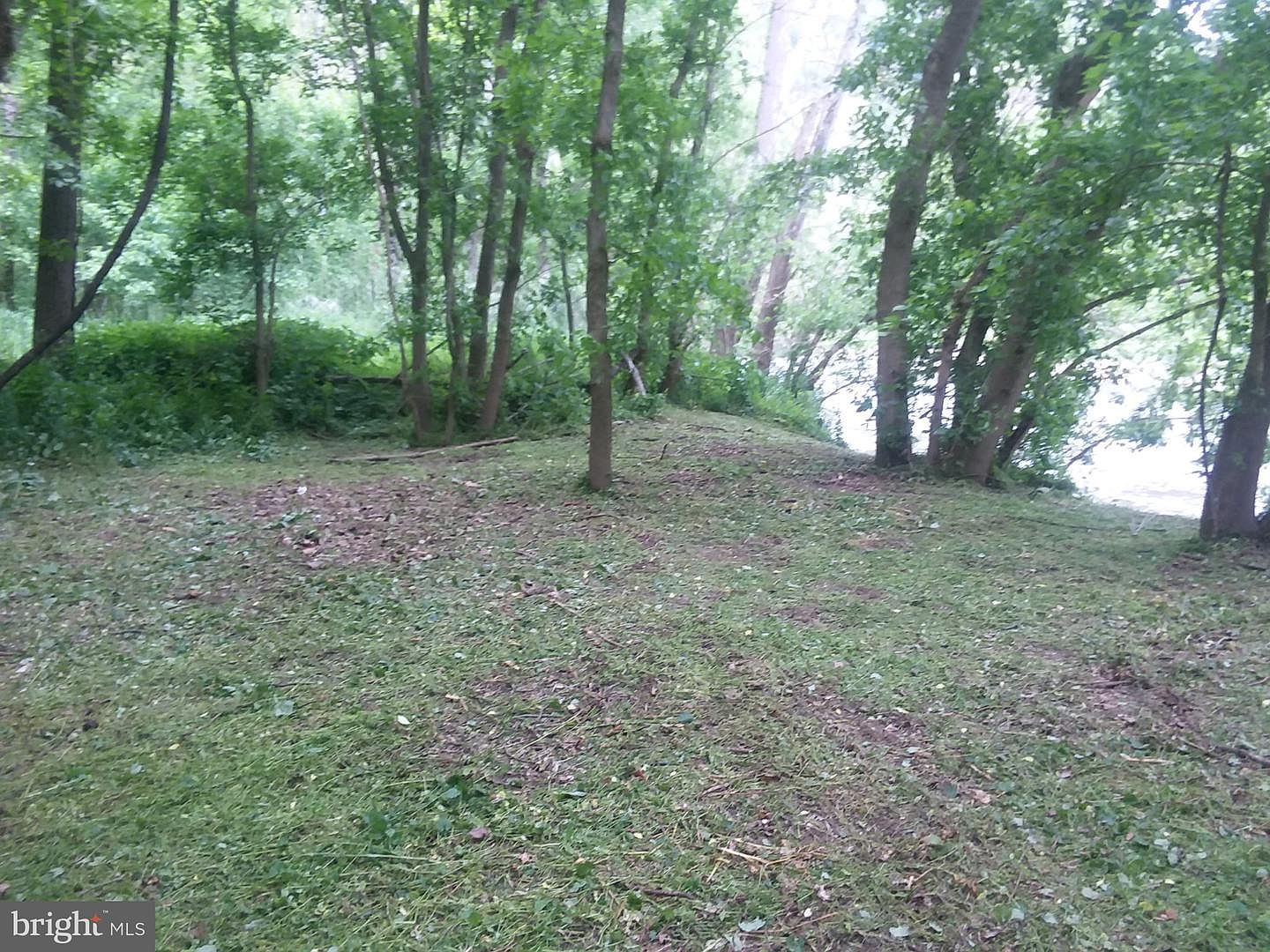 Bear Paw Maurertown, VA 22644 - Thumbnail 4