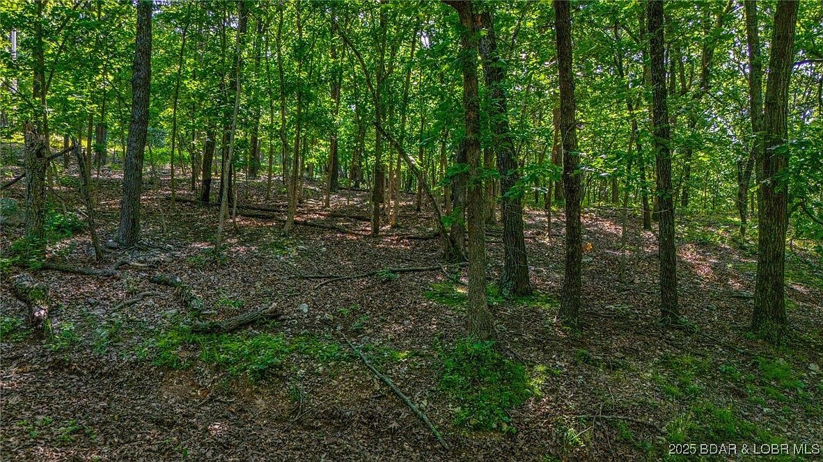 1169-1143 Elliott Pl Edwards, MO 65326 - Thumbnail 4