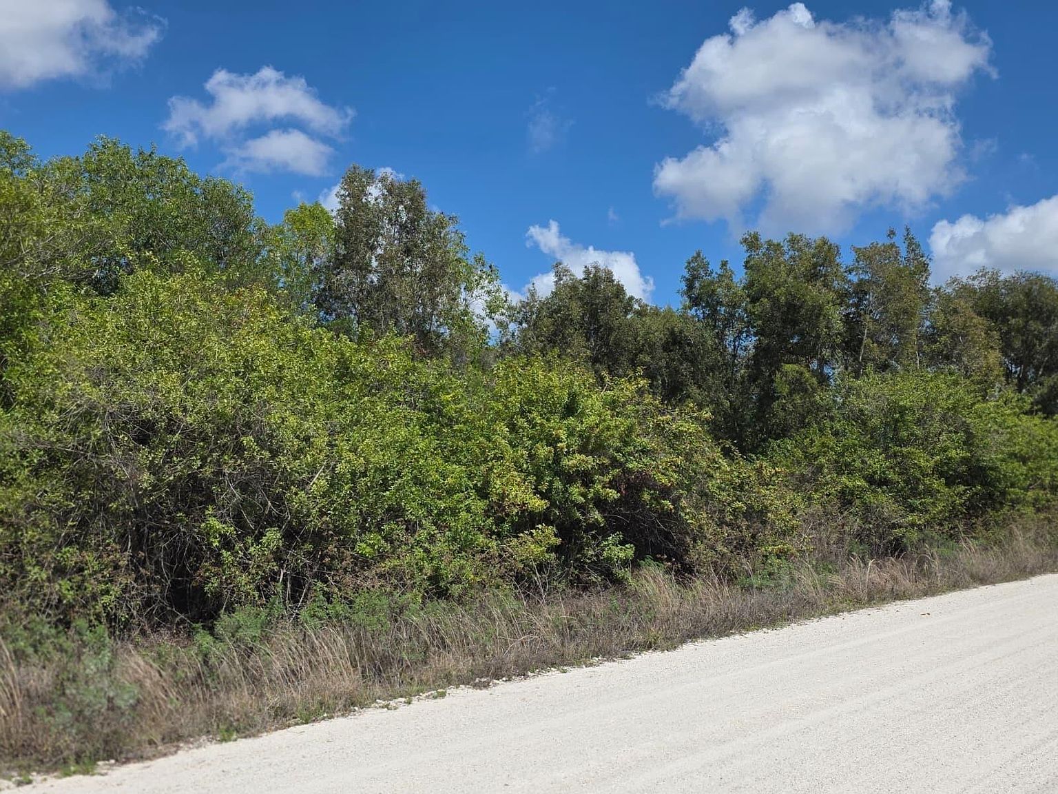 0 86th Rd N West Palm Beach, FL 33412 - Thumbnail 4